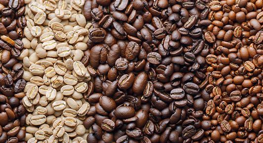 Embracing the Abundance: Exploring the Variety of Coffee Flavors